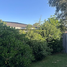 Revitalize-Your-Landscape-with-Professional-Bush-Trimming-Niceville-FL 2